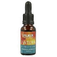 propolis tincture 20 ml