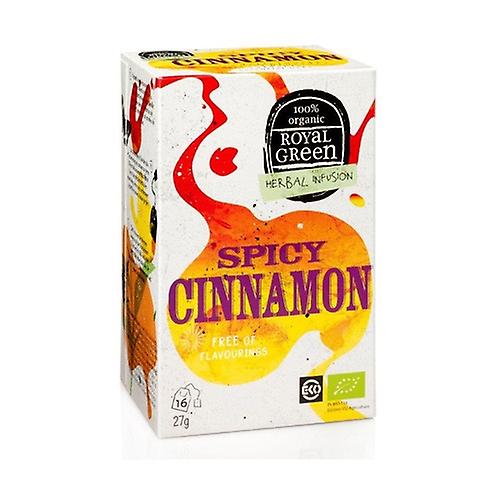 Bio spicy cinnamon infusion 16 infusion bags
