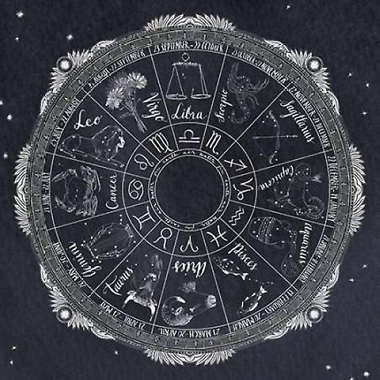 Night Sky Zodiac Poster