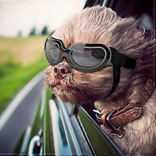 Small Dog Goggles - UV Protection - Adjustable - Windproof - Clear Black
