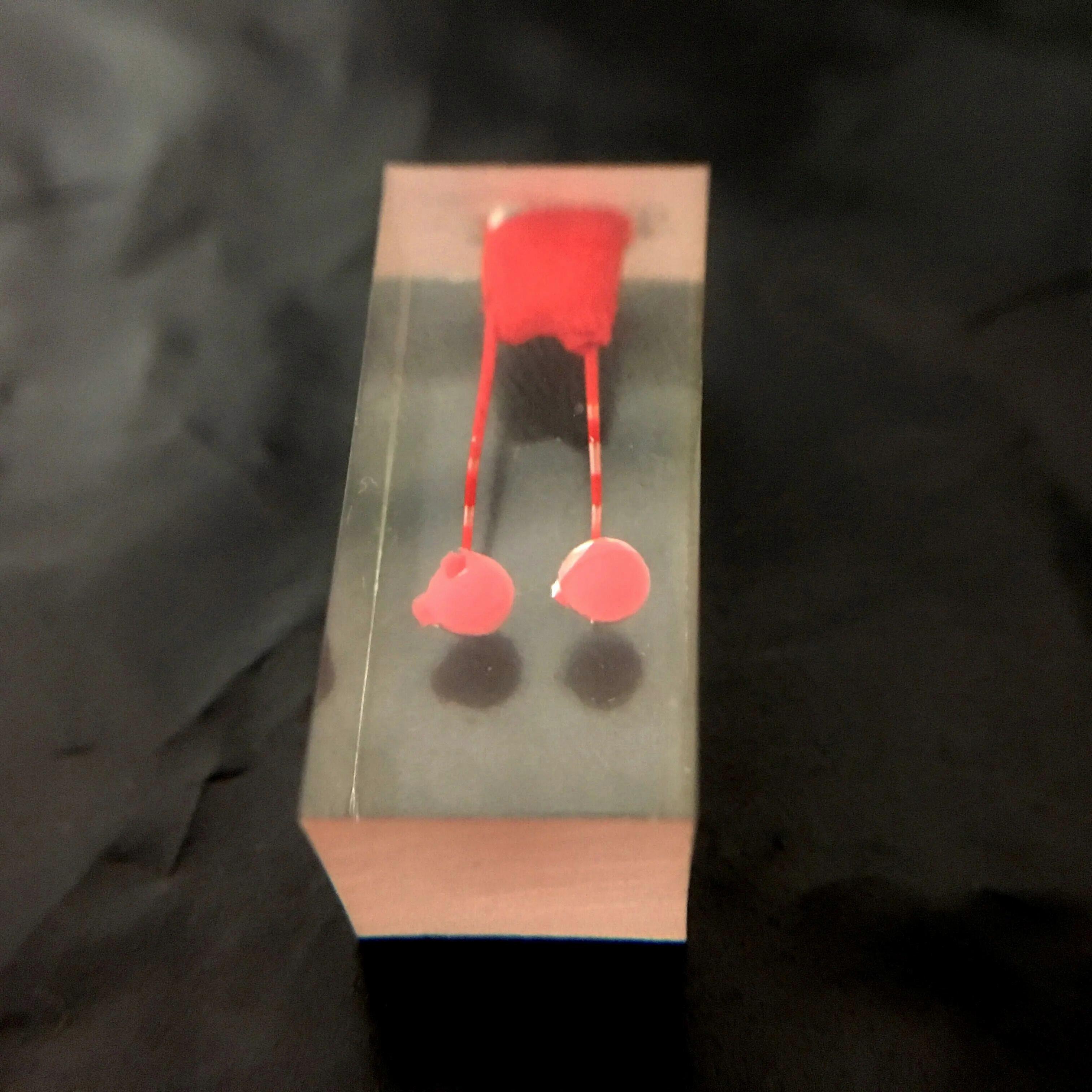 Dental Tooth Root Canal RCT Practice Model Medullary Cavity 2PulpS