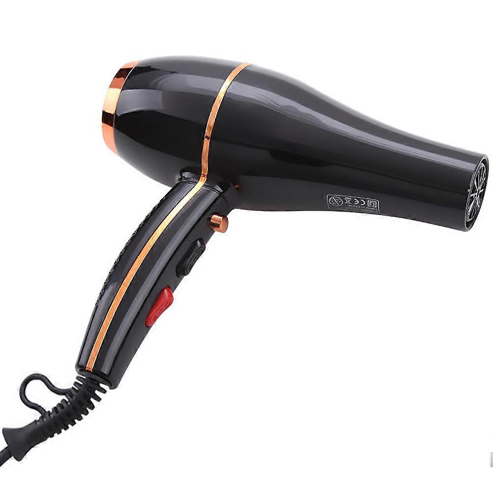 Smart Temperature Control Copper Hair Dryer with Diffuser and Concentrator for Hair Salon Use 1Set