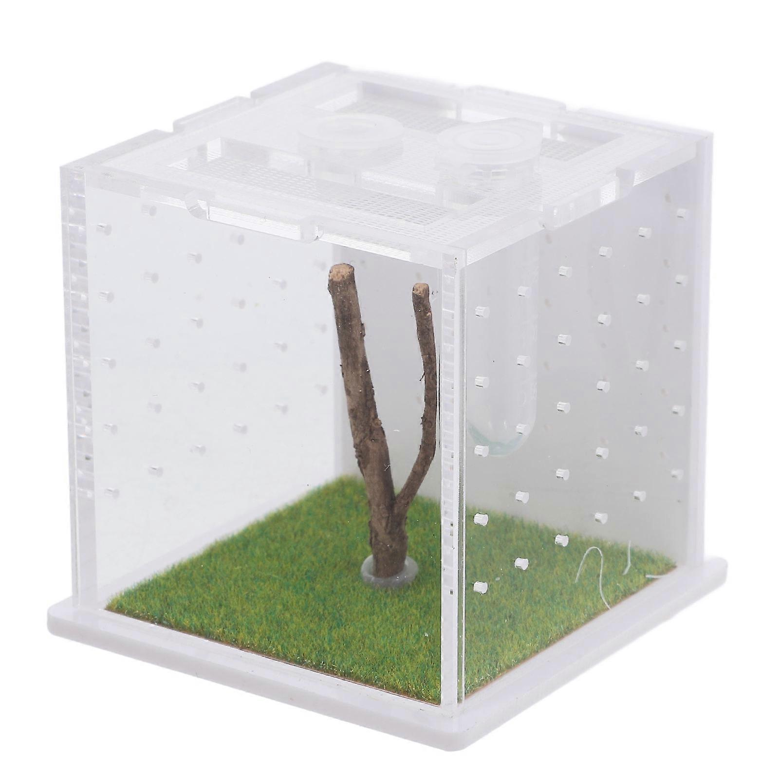 Jumping Spider Breeding Box Acrylic Case for Feeding