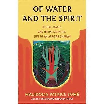 Aus Wasser und Geist: Ritual, Magie und Einleitung in das Leben eines afrikanischen Schamanen (Arkana)