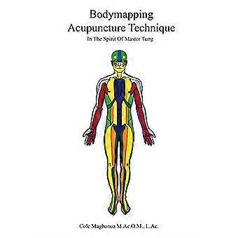 Bodymapping Acupunctuur Techniek