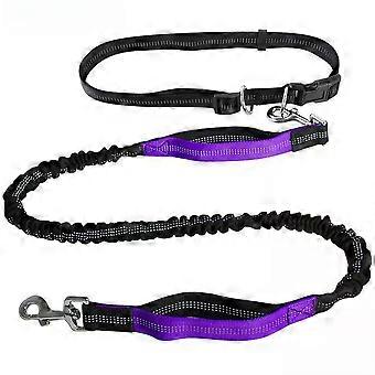 New Pet High Quality Nylon Dog Collar Traction Rope Set Explosion Proof Punch
