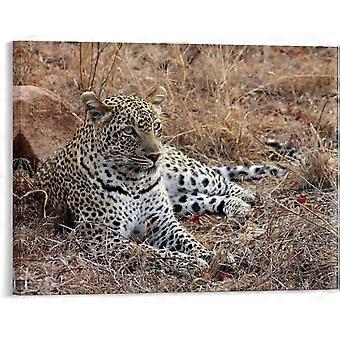 Puzzle con leopardo africano e fauna selvatica, stampe artistiche moderne per casa in stile rustico, ufficio o cameretta dei bambini VV623
