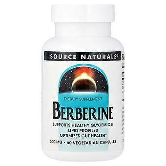 Source Naturals, Berberin, 500 mg, 60 vegetarische Kapseln