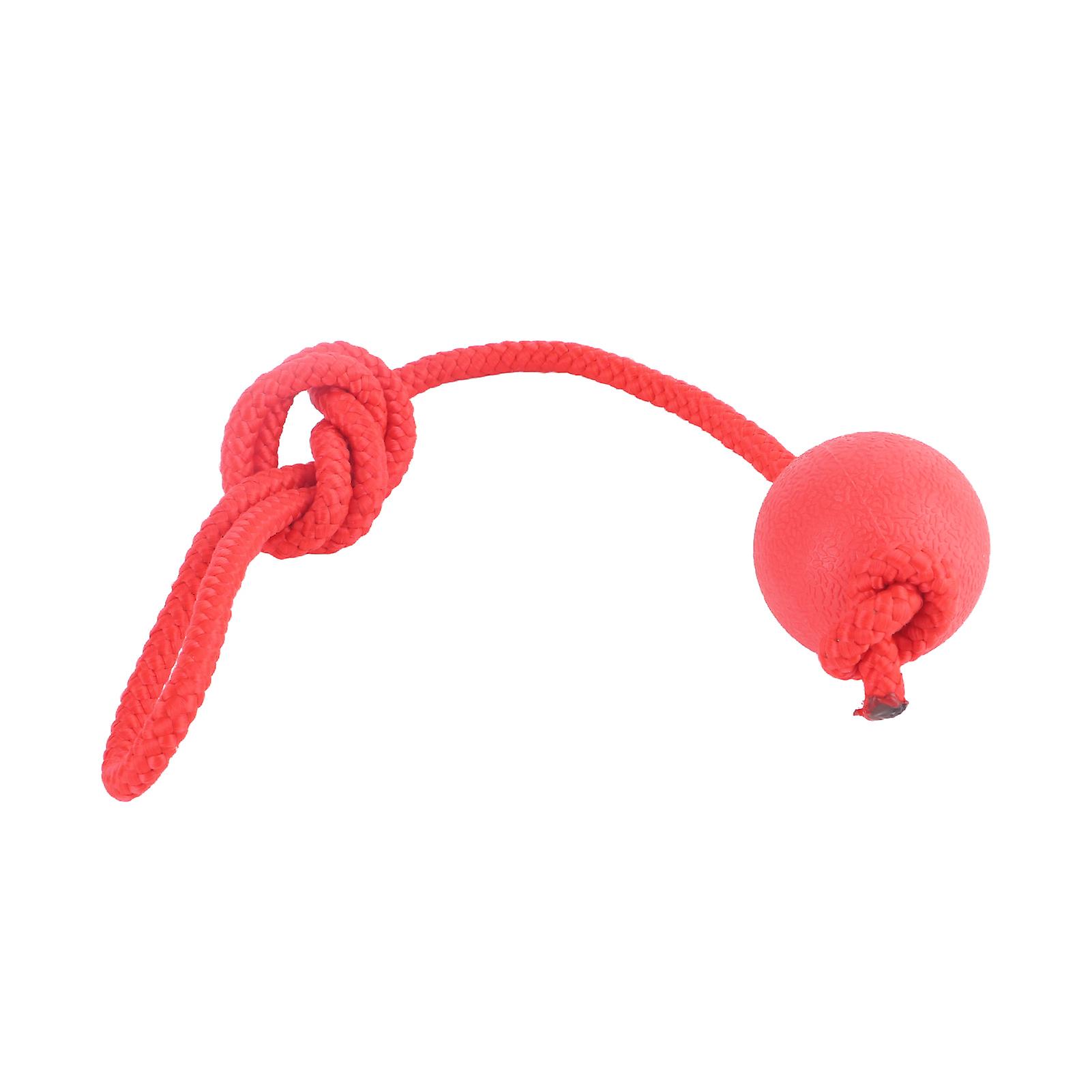 Interactive Dog Ball Rope Toy 5cm Rubber Bite Resistant Safe