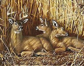 Tinnskilt DU- Gjemmested - Hjort