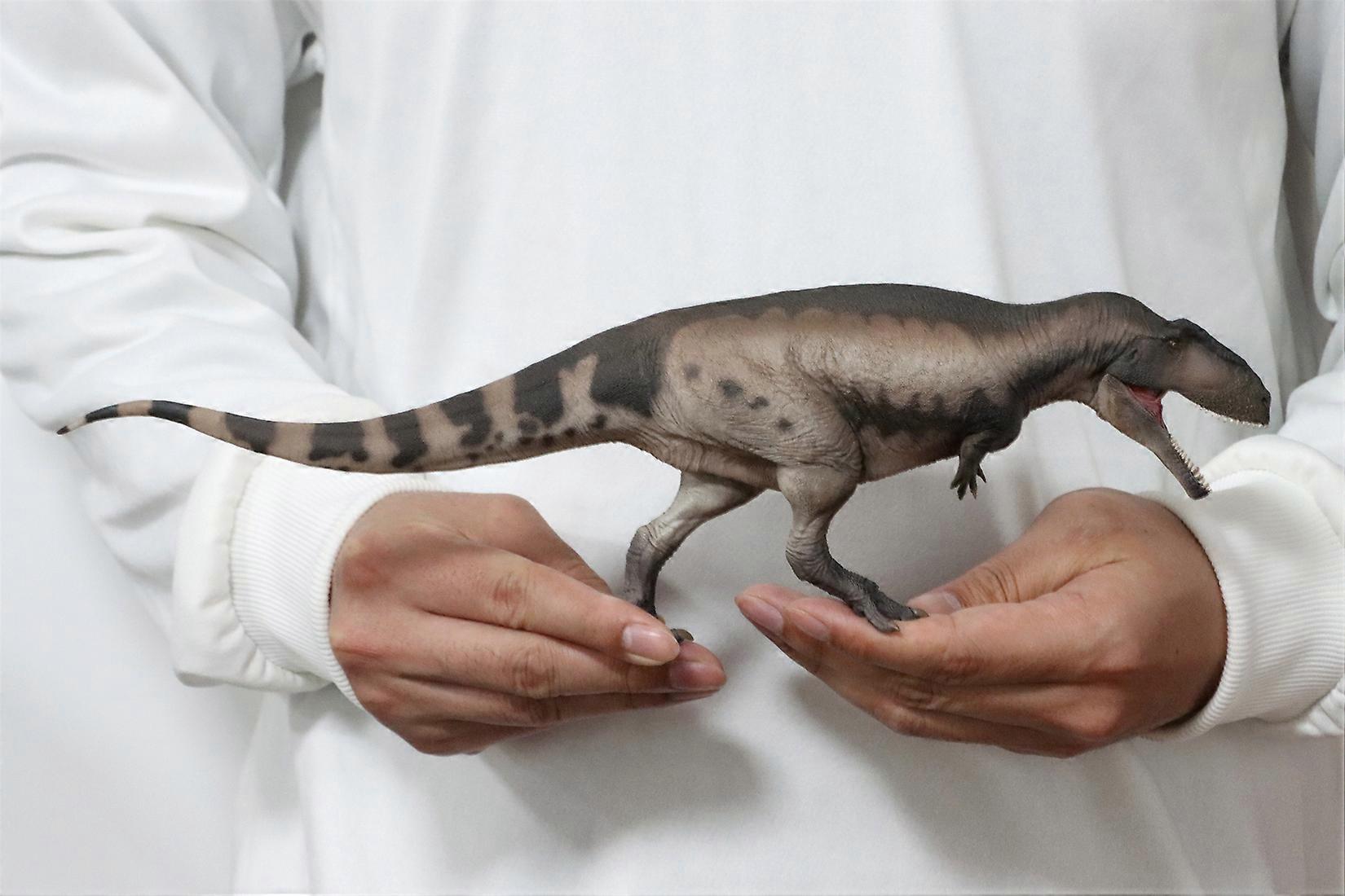 PNSO 68 Mila The Mapusaurus Model Prehistoric Animal ...