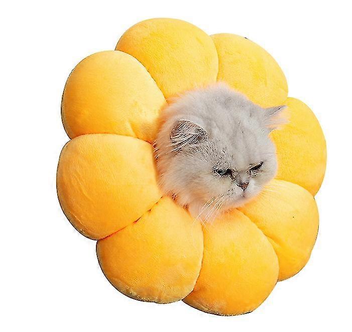 קולר רפואי חדש של פרחי שמש לחתולים וכלב ציוד לחיות מחמד נגד נשיכות ונגד ליקוק