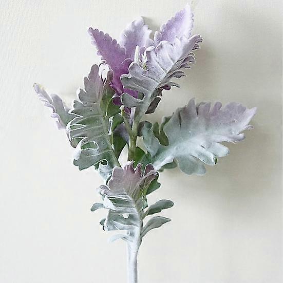 1 τεμάχιο τεχνητό Senecio Cineraria ψεύτικο φωτογραφικό υλικό για διακόσμηση σπιτιού και γραφείου