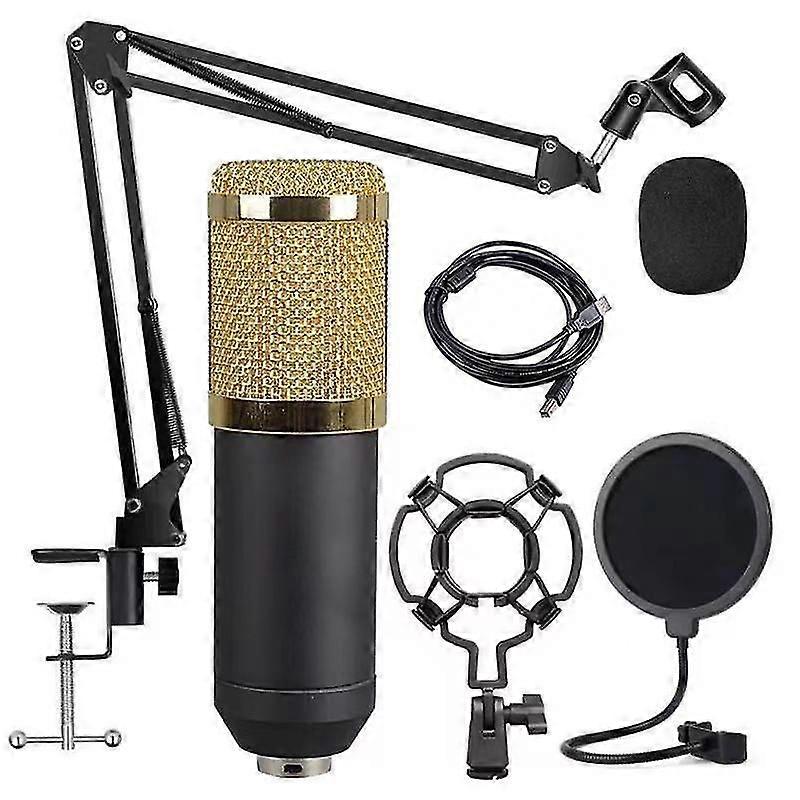 All Plastic Version-bm-800 Professional Capacitive Vocal Recording Wired Microphone