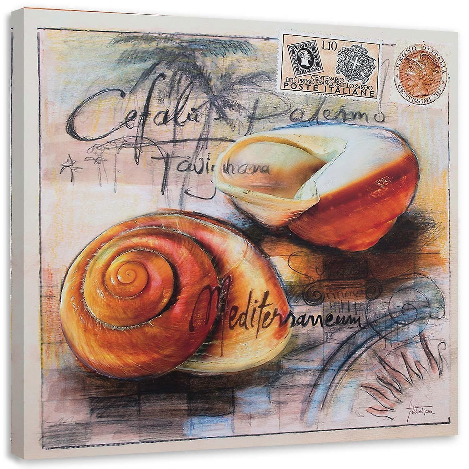 Lienzo, Postal con dos conchas marinas - 40x40