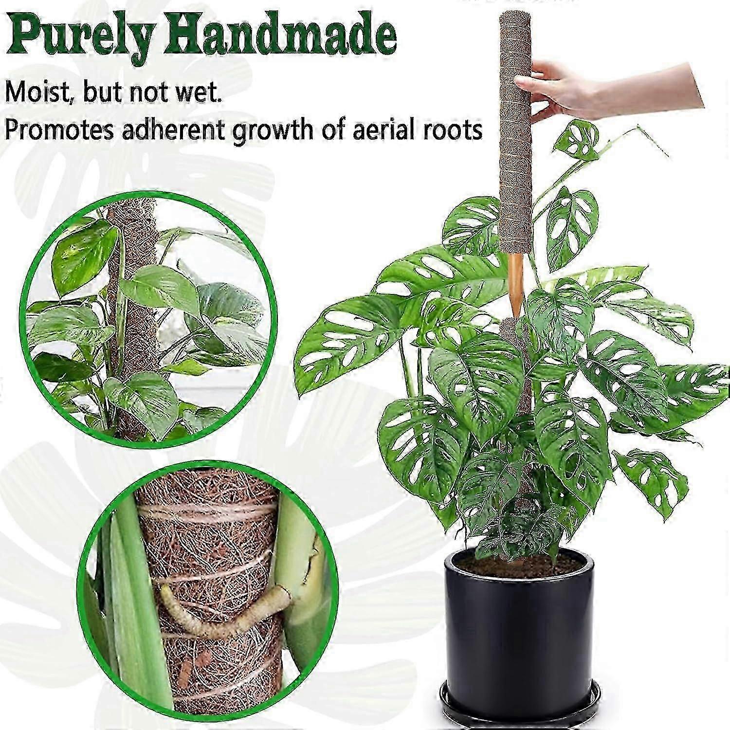 2 Pack Moss Pole, Stackable Moss Poles For Climbing Plants Monstera, Tall  Plant Sticks Accessories, Large Coir Plant Support Stakes For Potted Plants  | Fruugo US