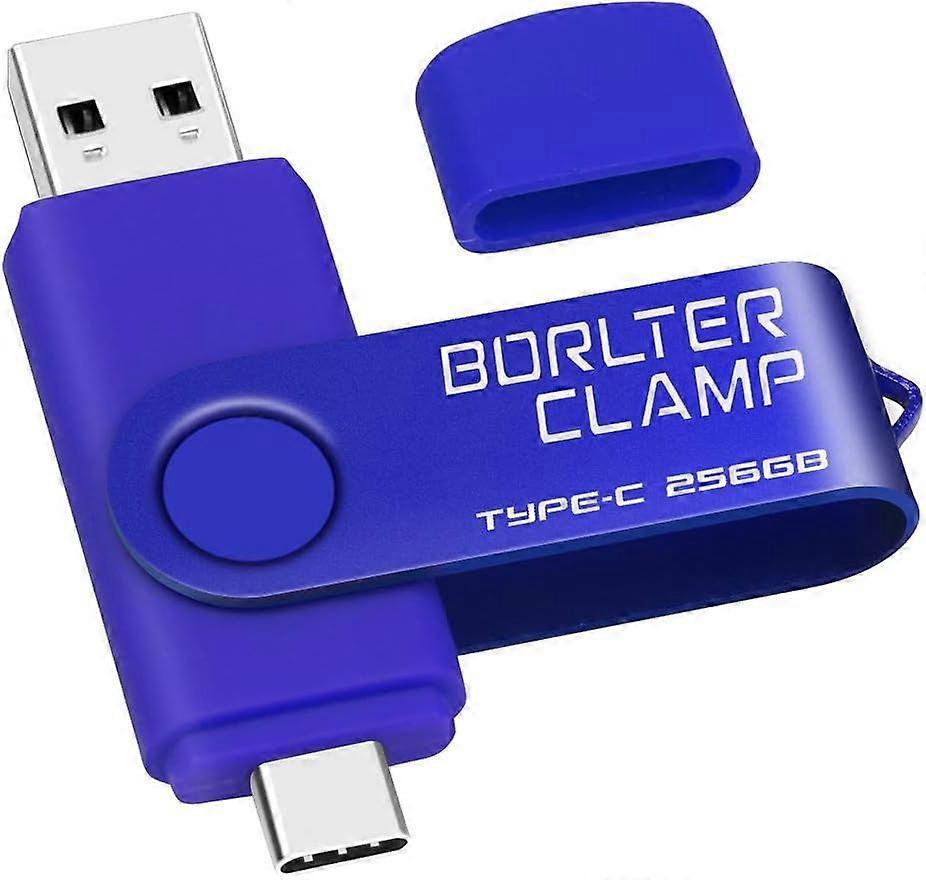 256 GB USB Typ-C Flash-Laufwerk, BorlterClamp USB C 3.0 Jump Drive Memory Stick Dual Port für