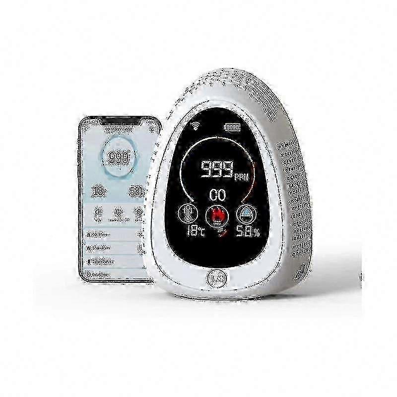 Portable Carbon Monoxide Detector Co2 Controller For Campervan Outdoor Hiking