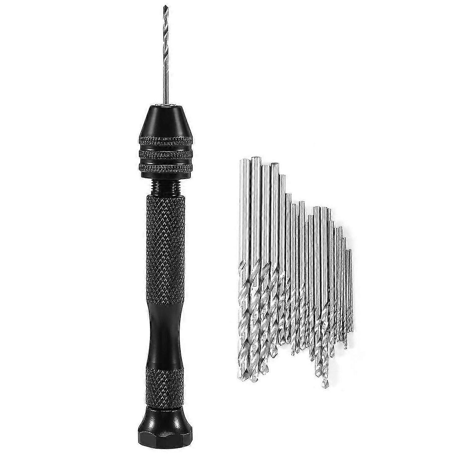 31Pcs Hand Drill Set Precision Pin Vise Micro-Mini Twist Drill Bits