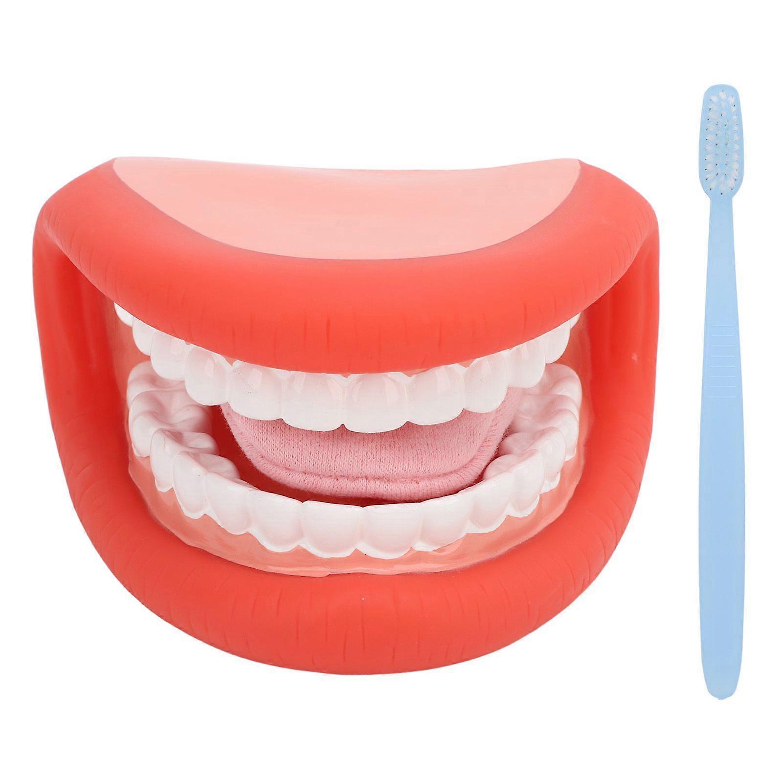 Mouth Puppet with Tongue Teeth Model Brush for Speech Remedy Boys Girls Educational Tools