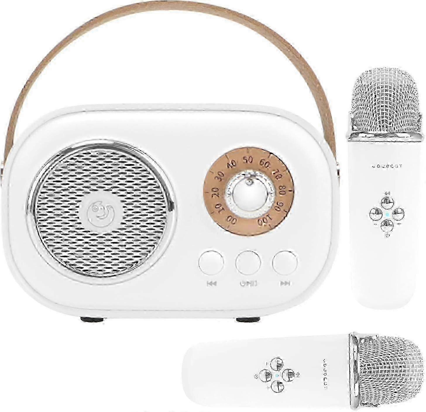 Mini Karaoke Machine with 2 Wireless Mics for Kids 26s