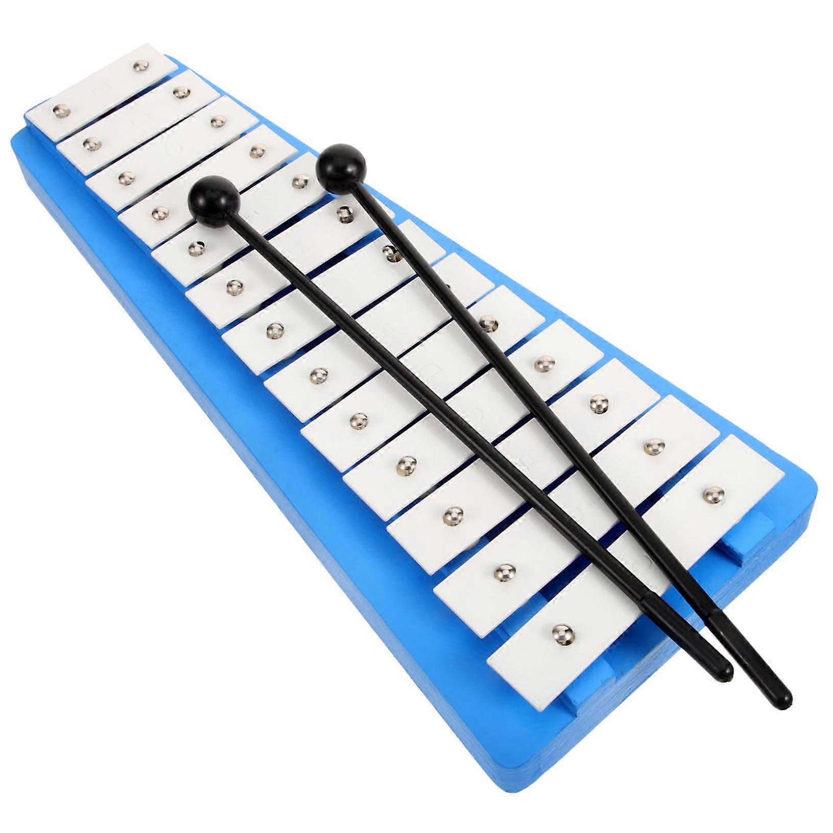 Beginner 13 Note Glockenspiel with Mallets for Kids, Clear Tone Educational Percussion Instrument