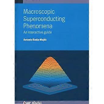 Makroskopiske superledende fenomener: En interaktiv guide (IOP e-bøker)
