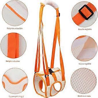 Dog Lifting Harness, Hind Leg Support Harness, Post-Operative Support for Weak Hind Legs, Support and Rehabilitation Belt for Senior and Injured Dogs 