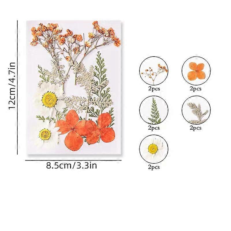 Dried Flower Sets Craft Material Tomato 120x85mm