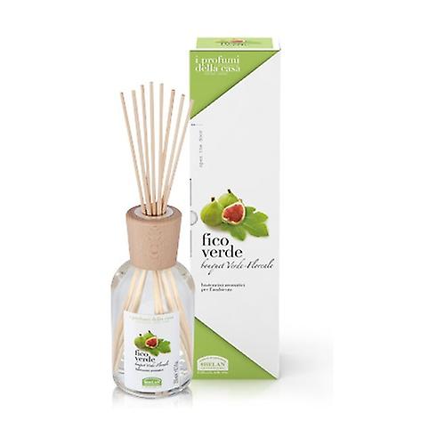 Profumi Casa Fico Verde aromatic sticks 250 ml