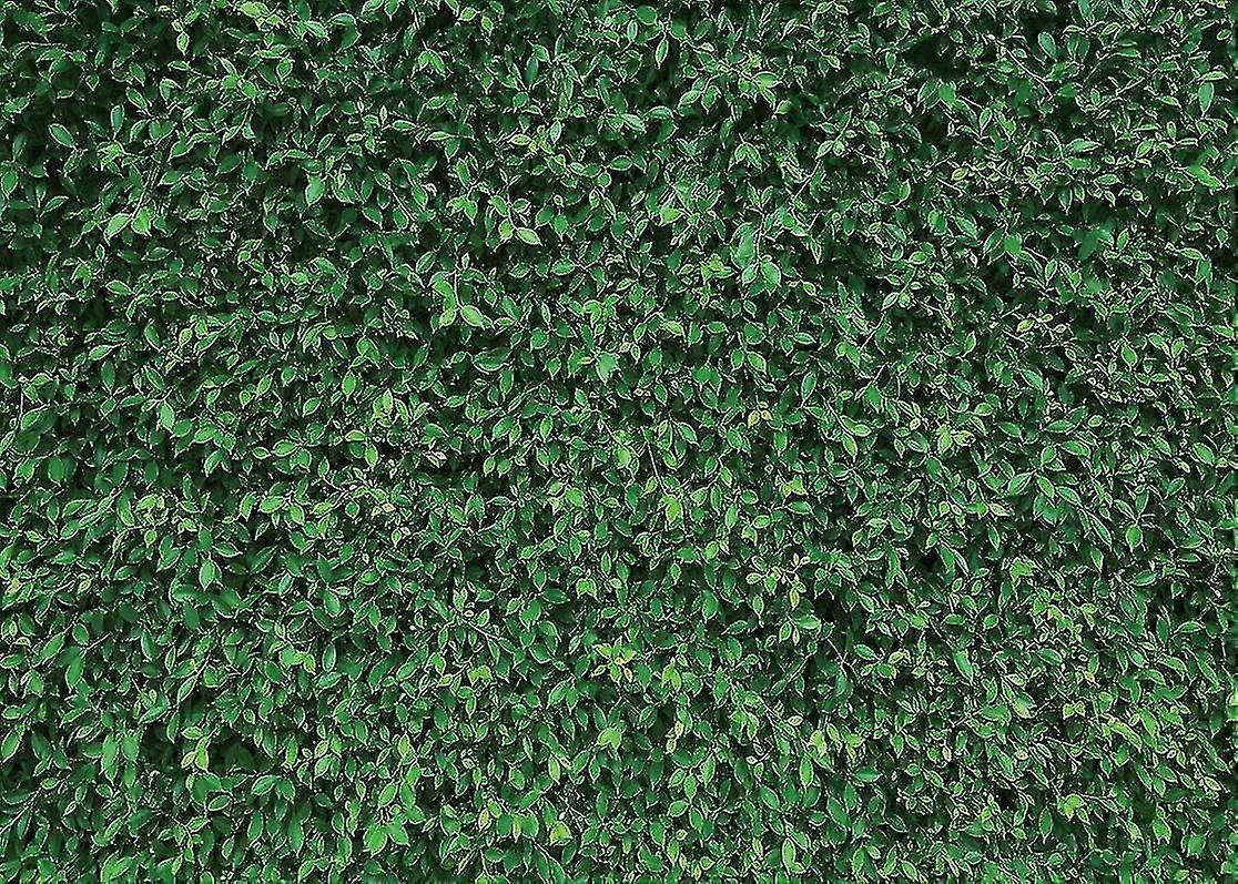 Nature Theme Green Leaves Backdrops Seamless Photography Studio Props Backgrounds Party Decoration Lawn Grass