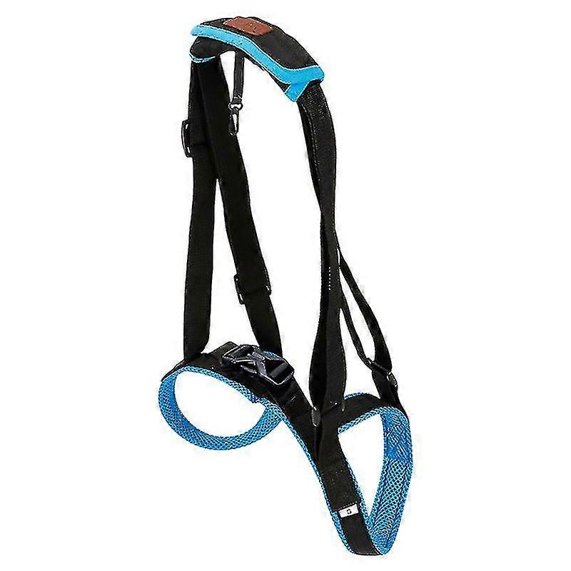1pcs Walk Straps For Dog