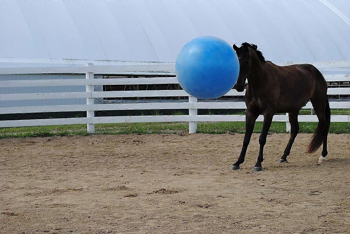 Palla Forata Anti-scoppio Per Cani, Cavalli, Capre – Pallone Da Pascolo Grande - Foto 2