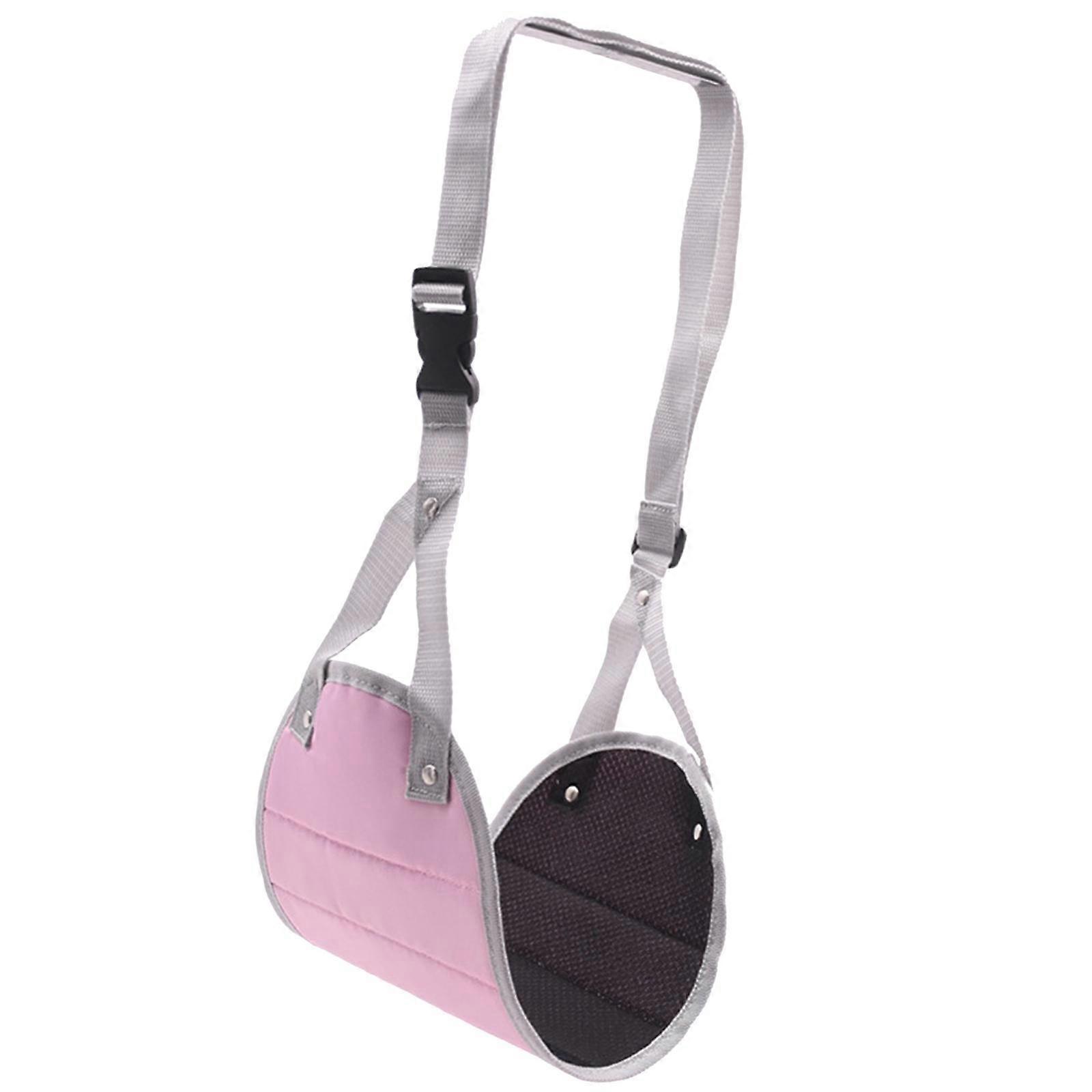 Carry On Trian Home Office Flight Trip Accessory Pink