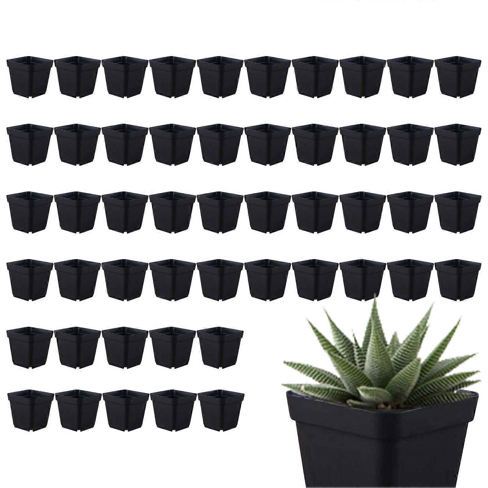 Seedling Pots, Seedling Starter Pots - Plant Pots With Drainage Holes, 10-Cell Grid For Vegetables And Succulents