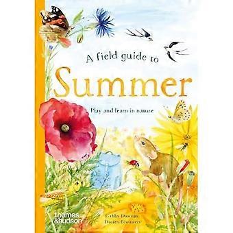 Feltguide til sommer: Lek og lær i naturen