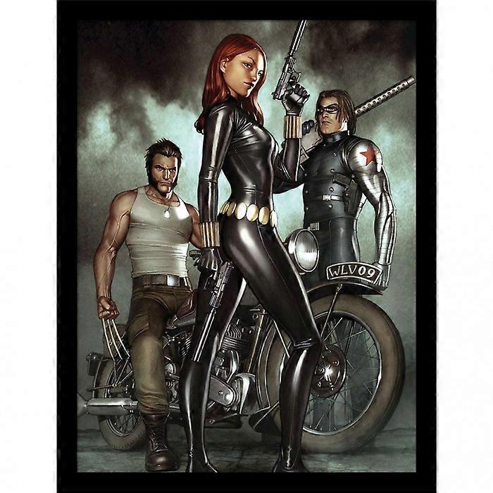 Black Widow Deadly Origin Vol 1 Framed Poster