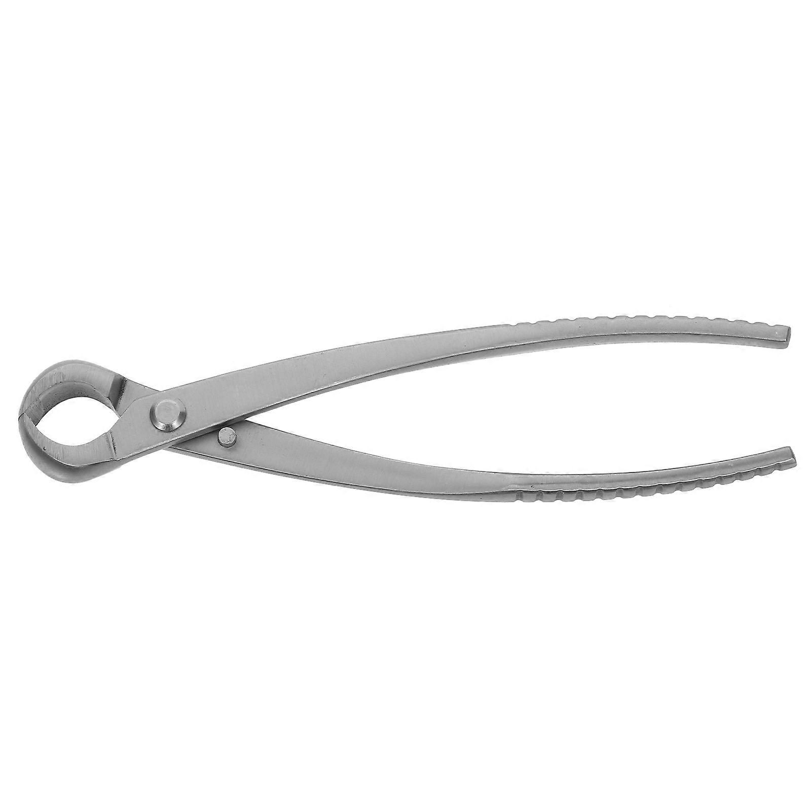 5Pcs Durable Stainless Steel Bonsai Pruning Tool Round Edge Gardening Supplies For Indoor Outdoor Use