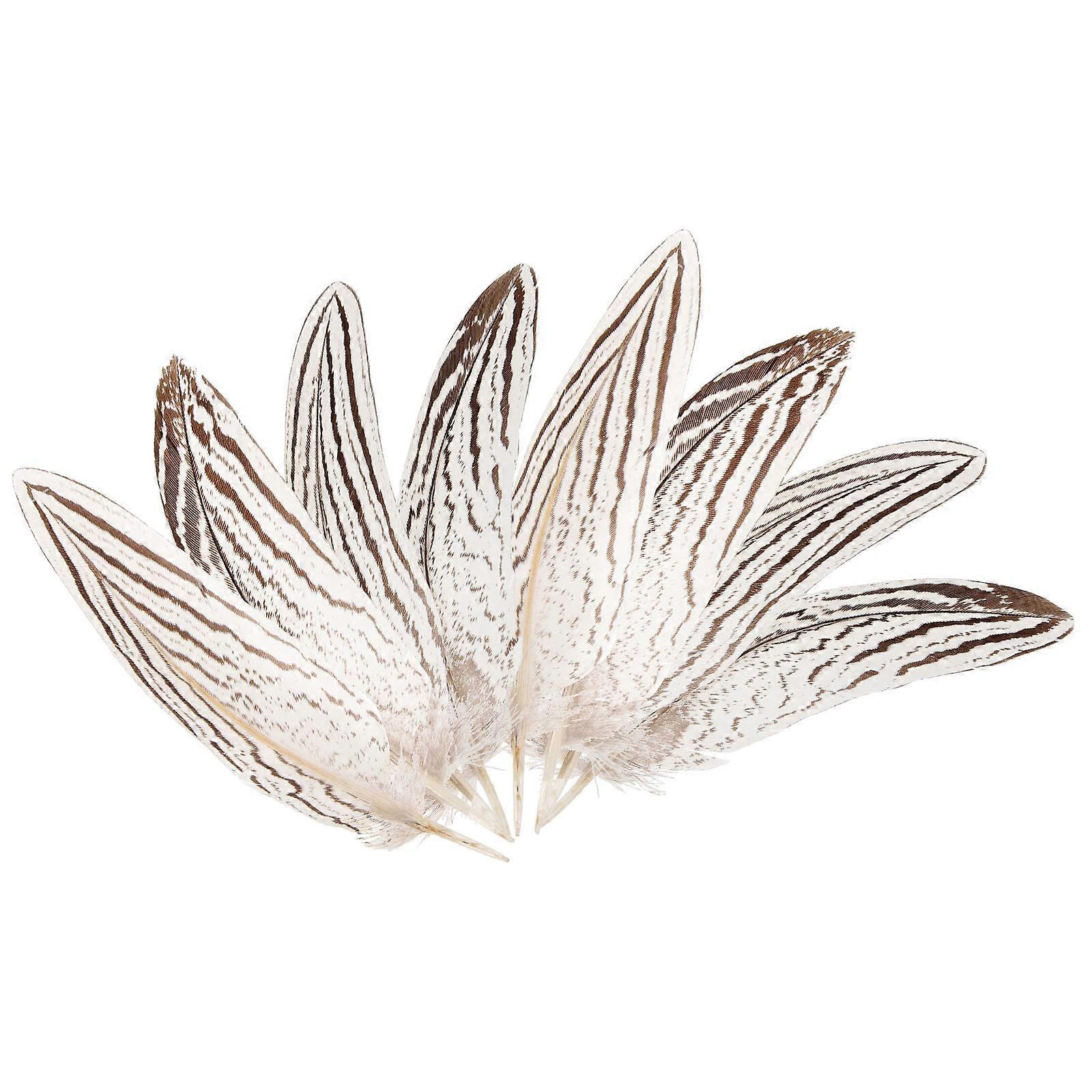 Plumes for Craft Use 10Pcs Catcher Decoration