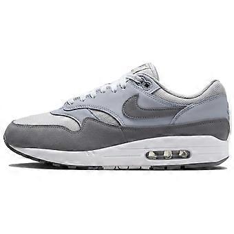 Nike Air Max 1 '87 Photon Dust Wolf Grey HM9936-001