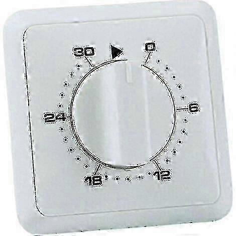 Timer compatible with Recessed Mounting Analog Day Program 30 Min
