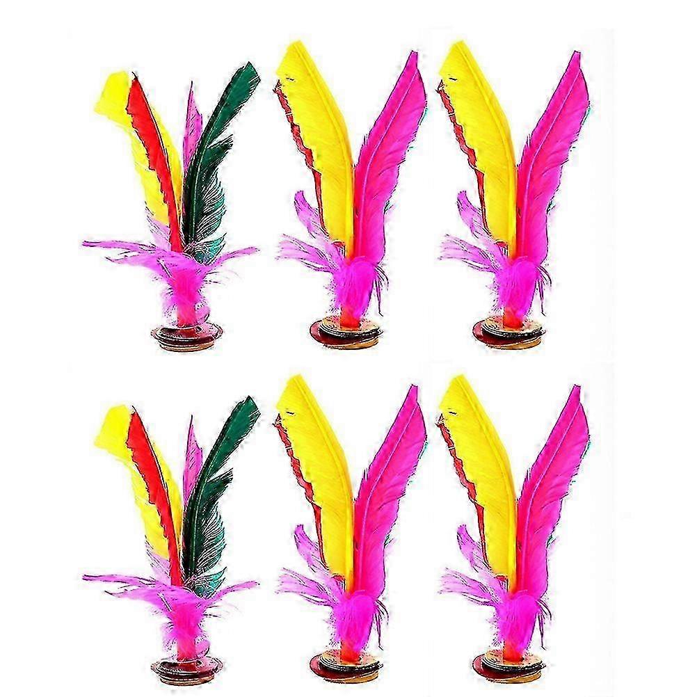 Outdoor Indoor Goose Shuttlecocks 6 Pcs