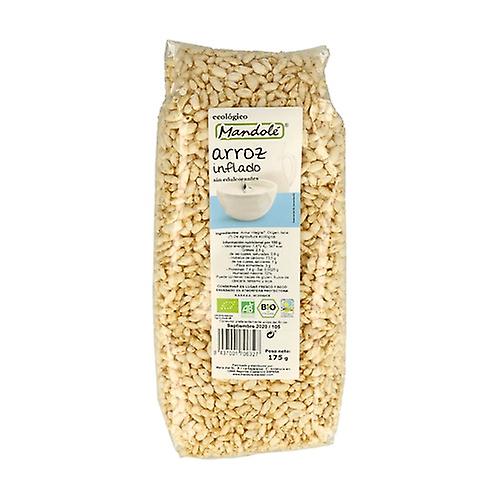 Integral Puffed Rice 175 g