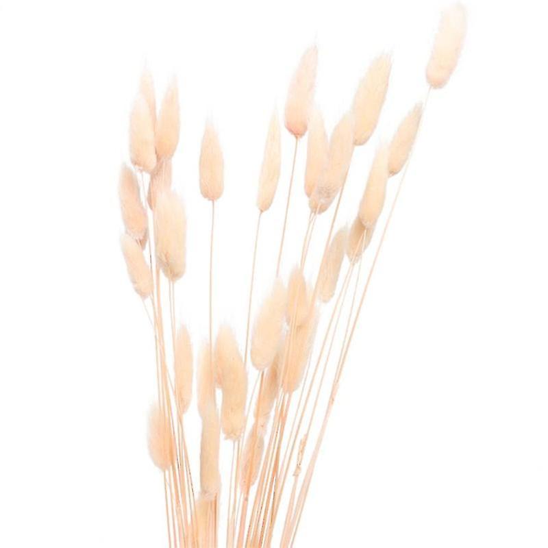 60pcs Dried Grass Pennisetum