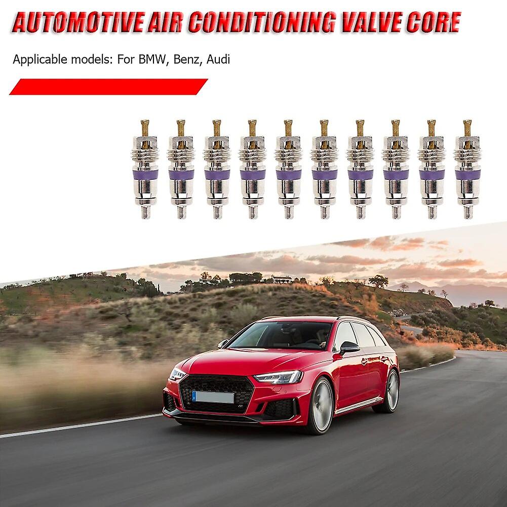 10pcs/lot καθολικοί πυρήνες βαλβίδων χαλκού για τις βαλβίδες κλιματισμού αυτοκινήτων A/C αυτοκινήτων