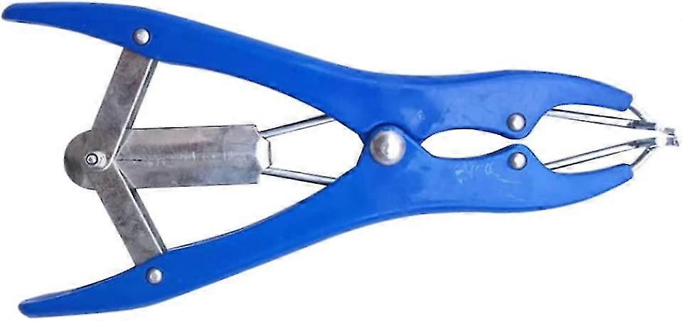 Balloon Expansion Pliers Stainless Steel Balloon Filling Diy Tools For Sequins Petals Feathers Hardware Tools Expansion Forcepsblue)(1pcs)