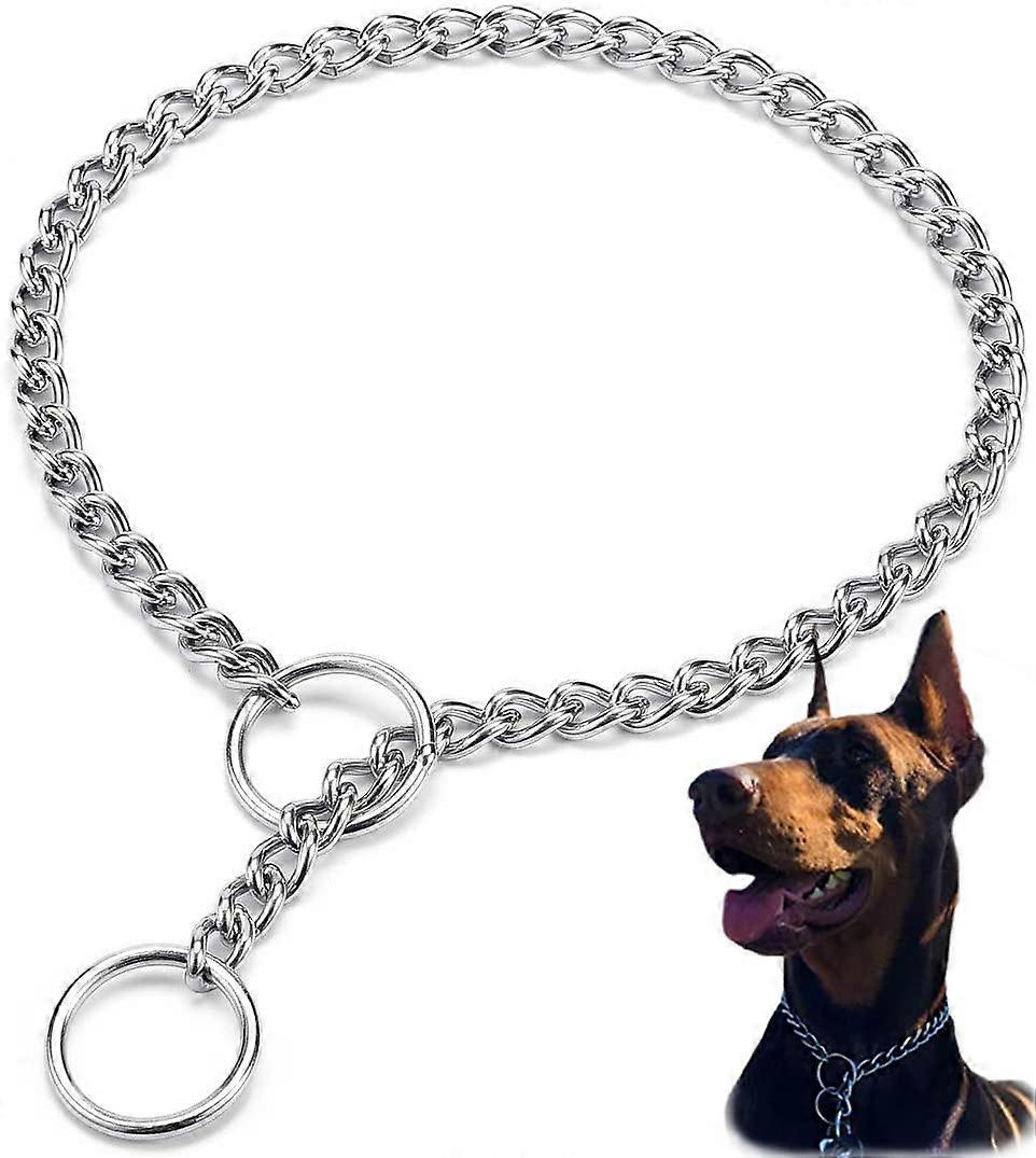 Dog Choke Collar Slip P Chain, Adjustable Stainless Steel Choke Chain for Small Medium Large Dogs, 16 in 2.0mm Chew Proof