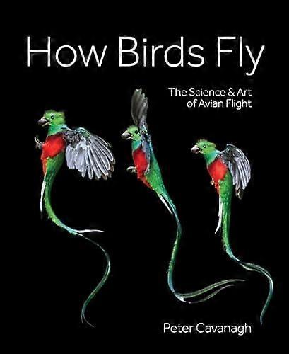 How Birds Fly - Peter Cavanagh - Photographs: collections - Firefly Books Ltd - Hardback