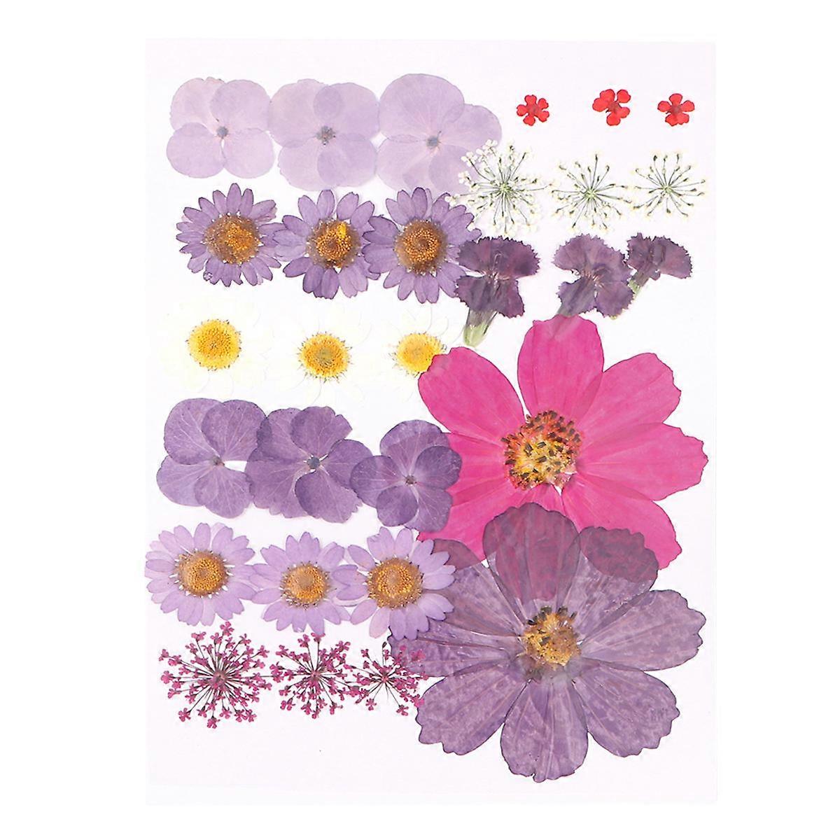 Dried Pressed Flowers Leaves Real Flower Materials Set Purple Home Decor 29Set
