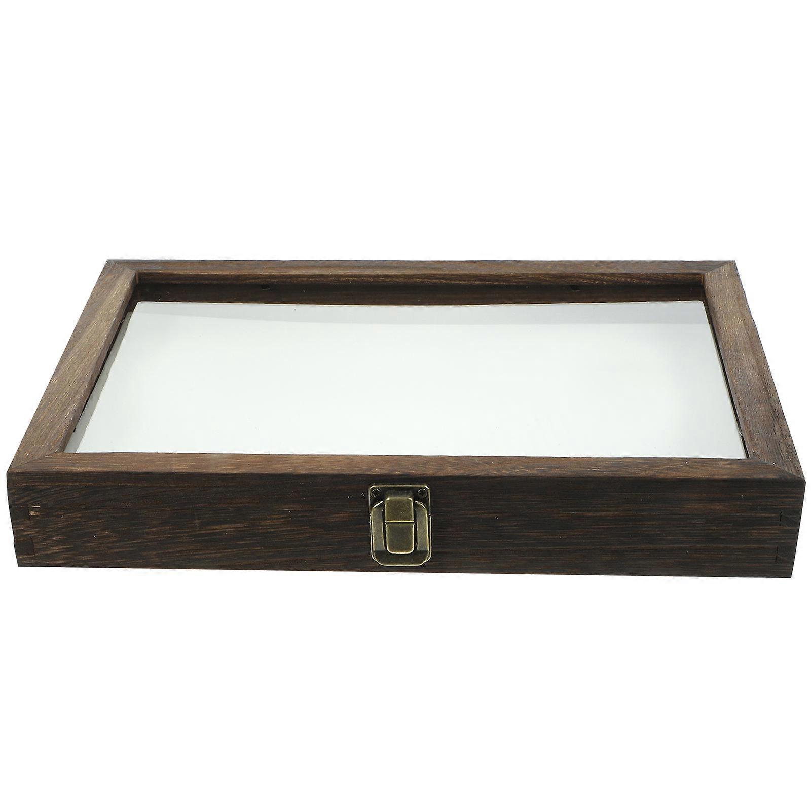 Insect Specimen Display Boxes Specimen Box Insect Specimens School Groups Educational Use 31.00X22.00X4.00CM 1Set